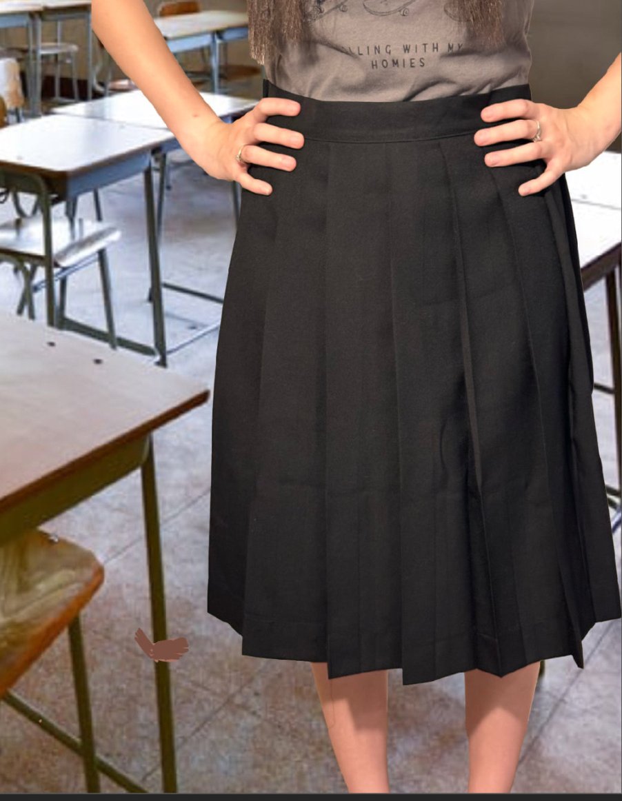 Pleated Skirt (Knife Pleats)