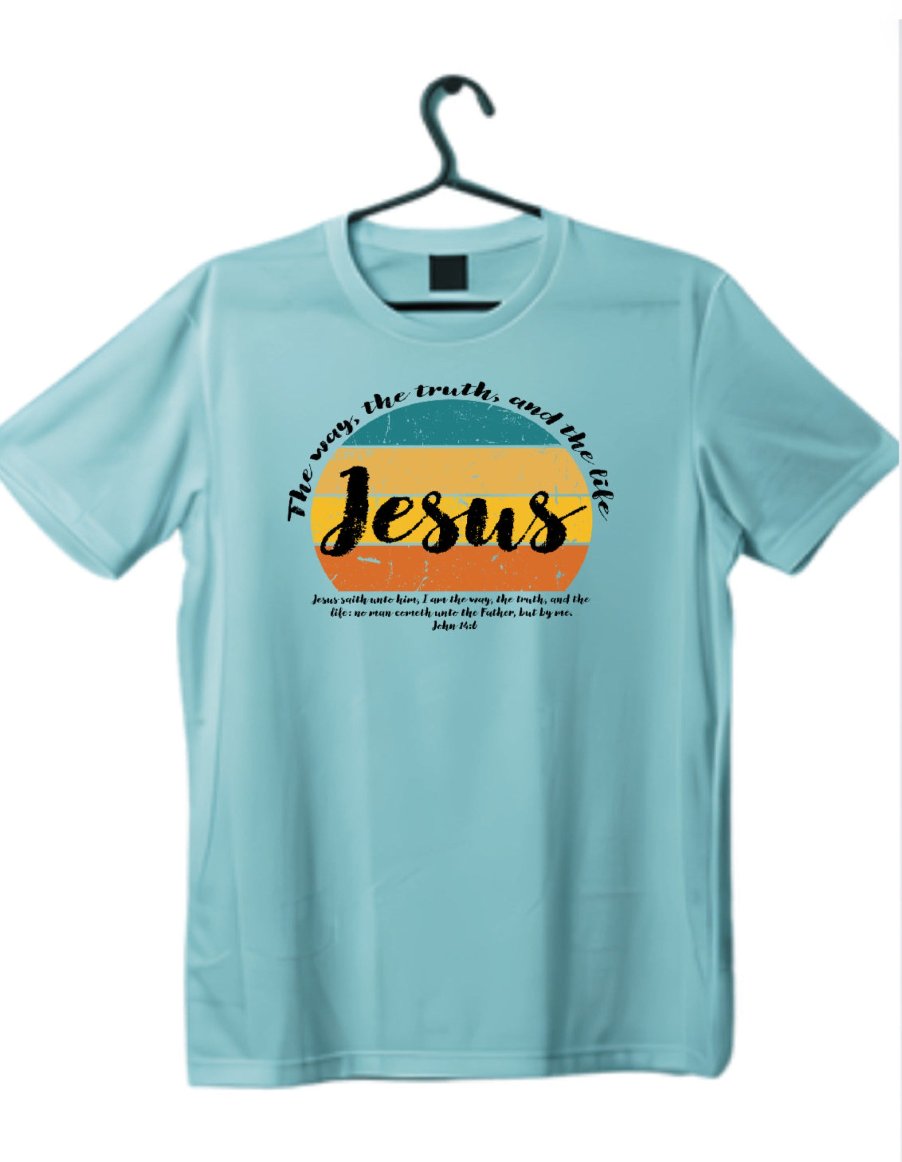 Graphic T-shirt (Black, Teal, Tan, Grey)